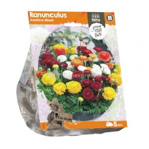 Baltus Ranunculus Asiaticus Mixed Ranonkel bloembollen per 5 stuks